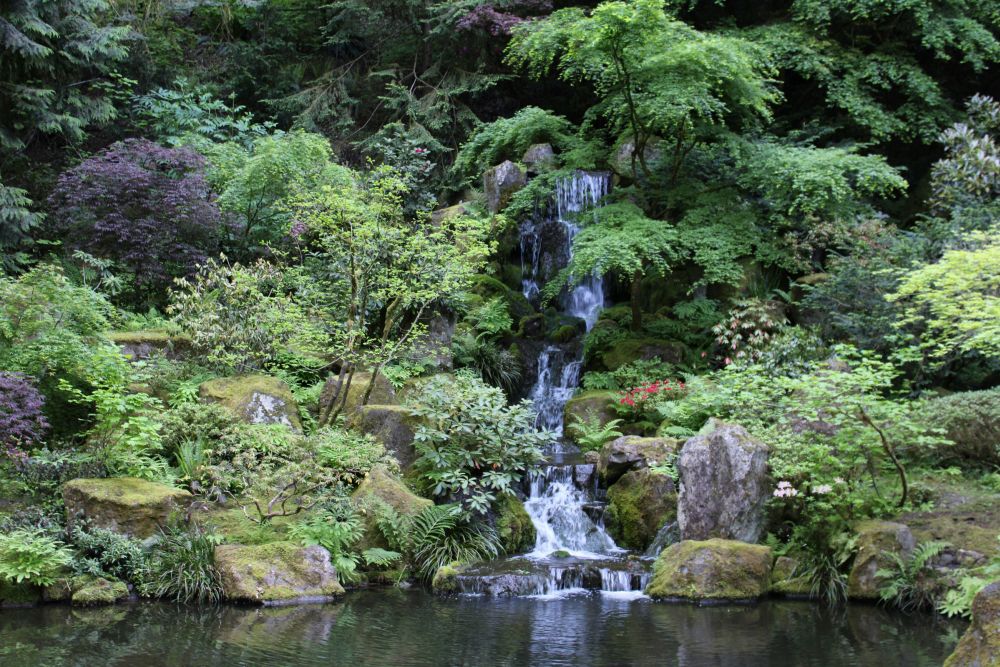 A small waterfall flows over rocks surrounded by lush green plants and trees, ending in a tranquil pond.